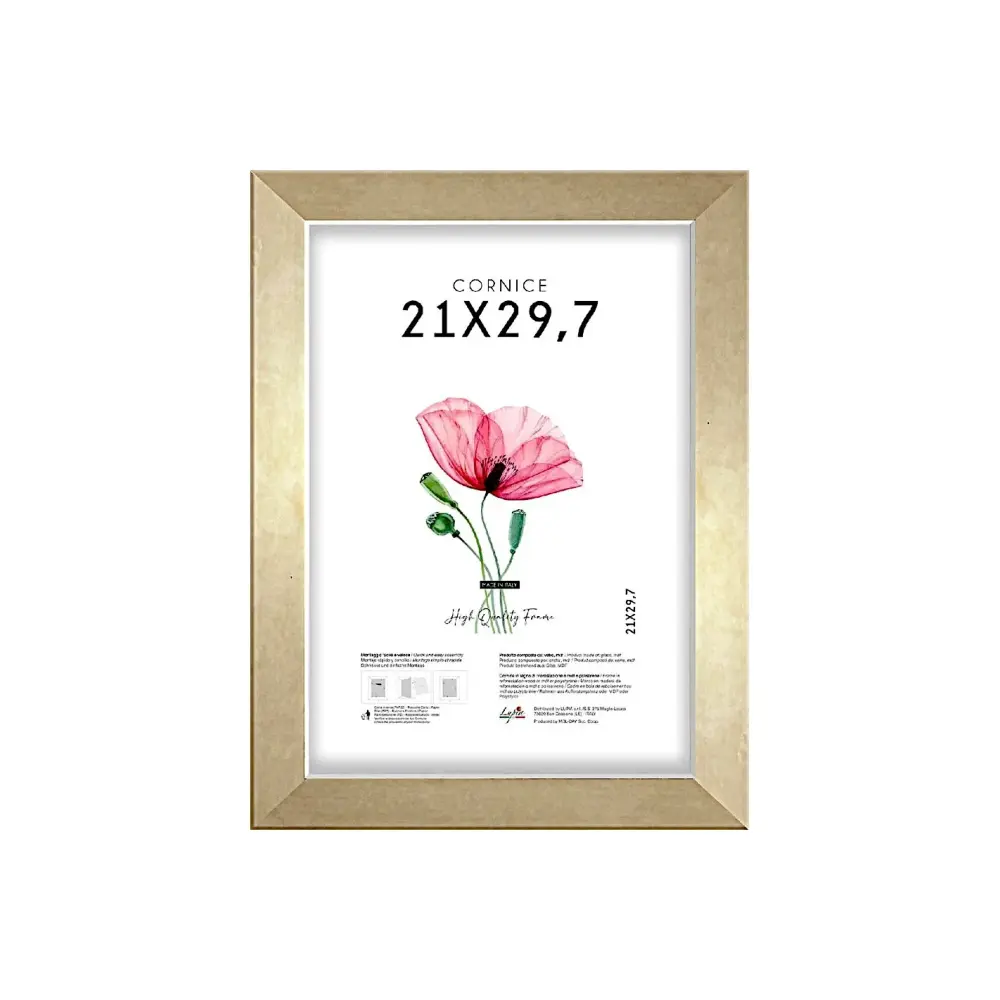 Cornice Quadra Lupia 21x29,7 cm Oro