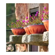 Vaso Alba Bama 50 cm con Sottovaso | Generoso Casalinghi