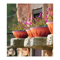 hover-image