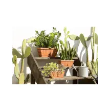Fioriera Natura Bama 50 cm Terracotta | Generoso Casalinghi