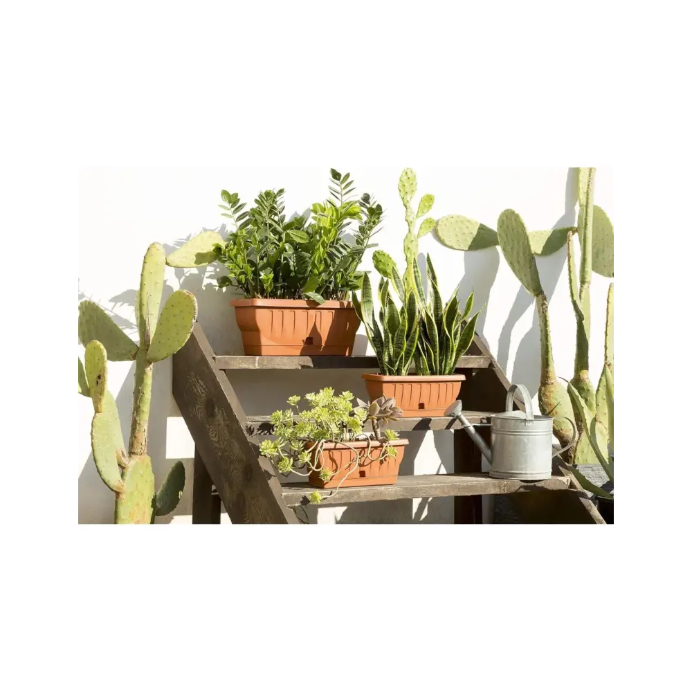 Fioriera Natura Bama 50 cm Terracotta | Generoso Casalinghi