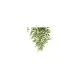 Bambù Pensile Verde Liora Atmosphera 67 cm