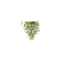 Bambù Pensile Verde Liora Atmosphera 67 cm