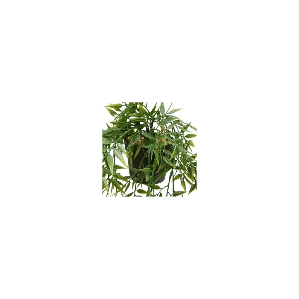 Bambù Pensile Verde Liora Atmosphera 67 cm