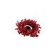 Corona Bacche Rosse New Bi 46 cm | Generoso Casalinghi
