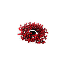 Corona Bacche Rosse New Bi 46 cm | Generoso Casalinghi