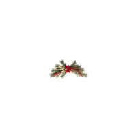 Decorazione Ramo Stella di Natale Feeric | Generoso Casalinghi