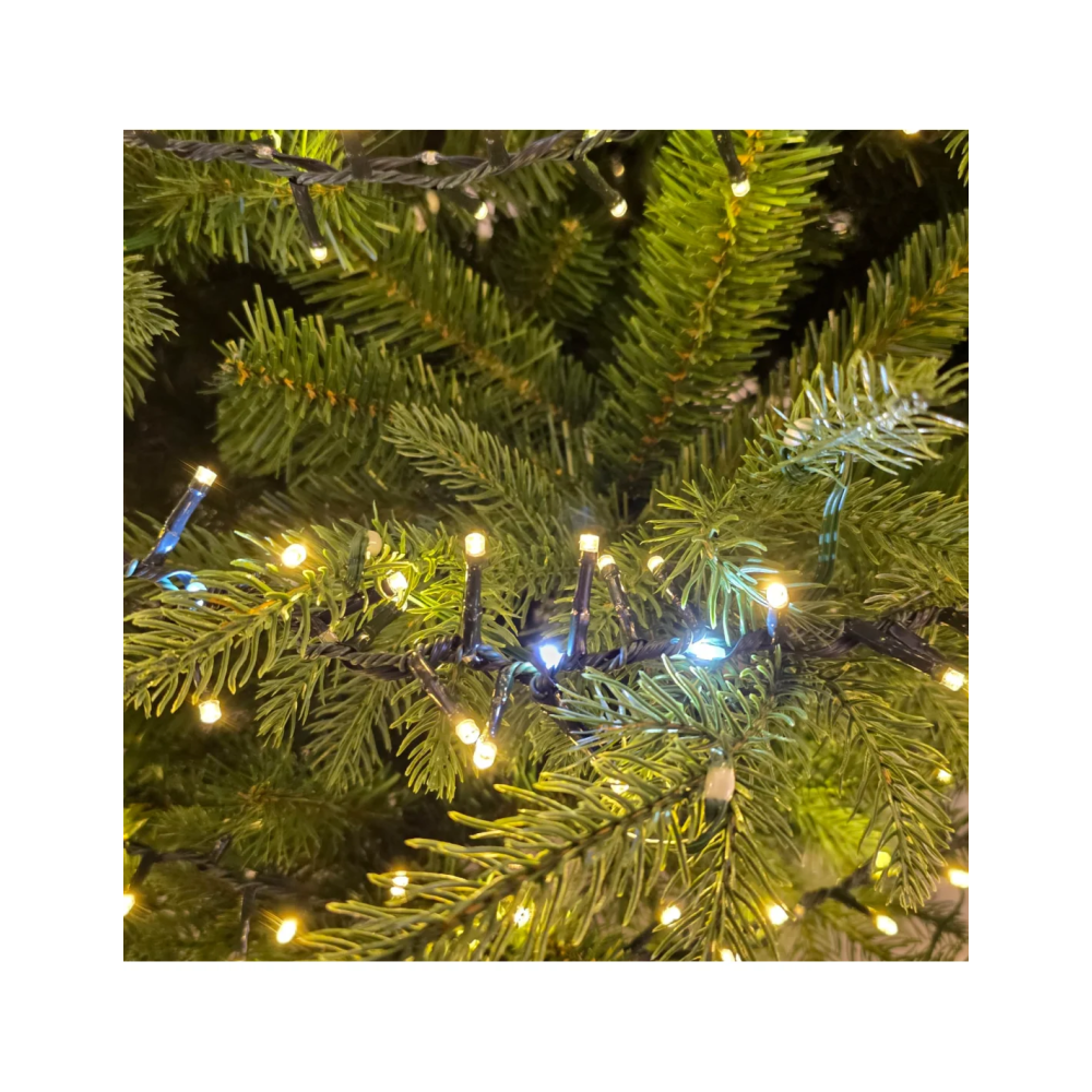 Catena MiniCluster Lotti 30 m, 1660 LED | Generoso Casalinghi
