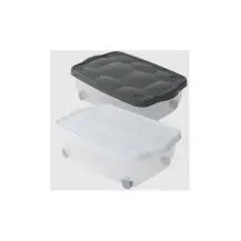 Contenitore Salvaspazio con Coperchio e Ruote 40x60x18.5 cm PVC | Generoso Casalinghi