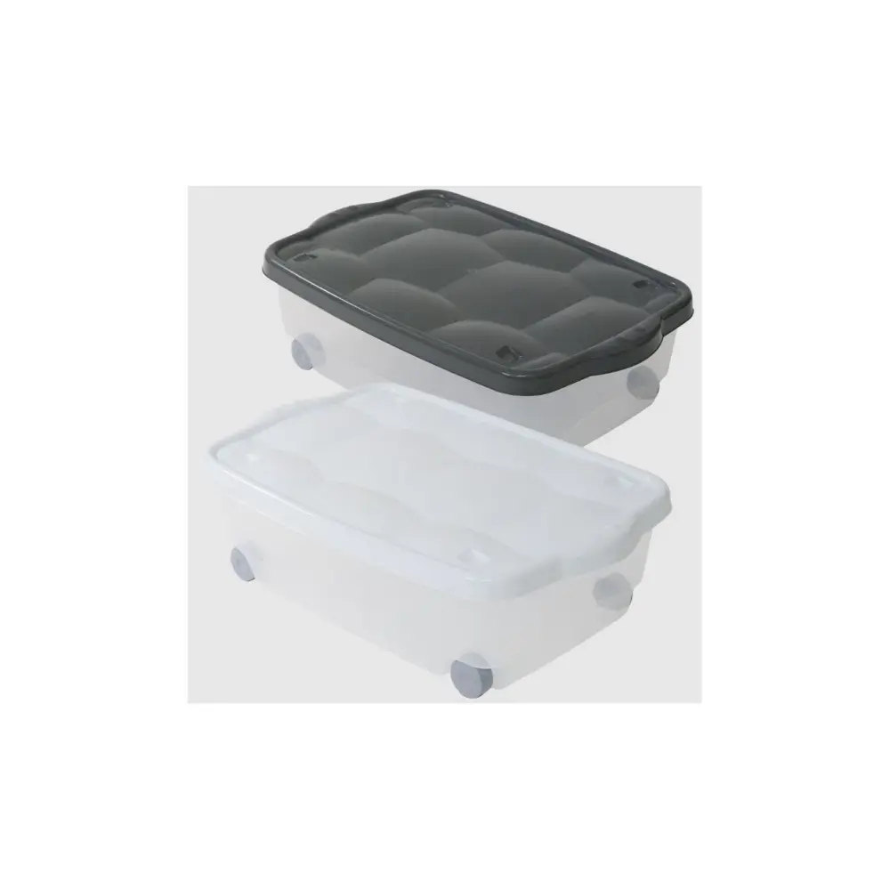 Contenitore Salvaspazio con Coperchio e Ruote 40x60x18.5 cm PVC | Generoso Casalinghi