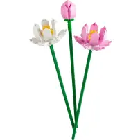 hover-image