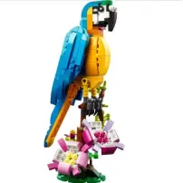 hover-image