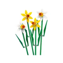LEGO Botanicals 40747 Narcisi, Fiori Finti per Bambine e Bambini…