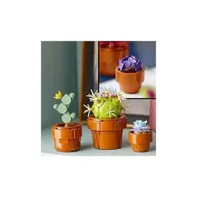 LEGO Botanicals 10329 Piantine, Collezione Botanica con Fiori…