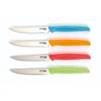 Pedrini Set 6 Coltelli da Bistecca Colori Assortiti