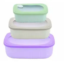 Pedrini Set 3 Contenitori Rettangolari Ermetici in plastica