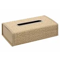 5Five Porta Fazzoletti Stemy Beige 26x8x14 cm – Design Elegante