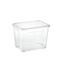 Tontarelli Combo Box Contenitore Trasparente 18 L – Plastica