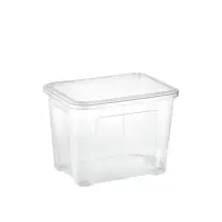 Tontarelli Combo Box Contenitore Trasparente 18 L – Plastica