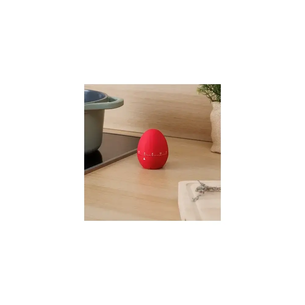 Timer Da Cucina A Uovo In Abs, Manuale Assortito 5FIVE - 5FIVE