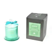 Candela Wild Musk 150gr Campana Vetro MERCURY – 150gr