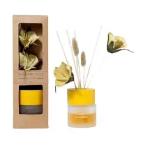 Diffusore MERCURY 31580 Vaniglia 100ml