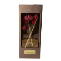 Diffusore Arancia Cannella 100ml - MERCURY