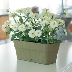 Giardinaggio